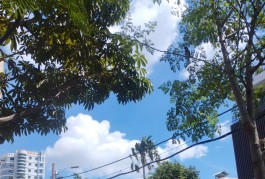 Huỳnh Thiện Lộc - 4x20m - HXH 10m2 vỉa hè Kinh Doanh - 3 tầng